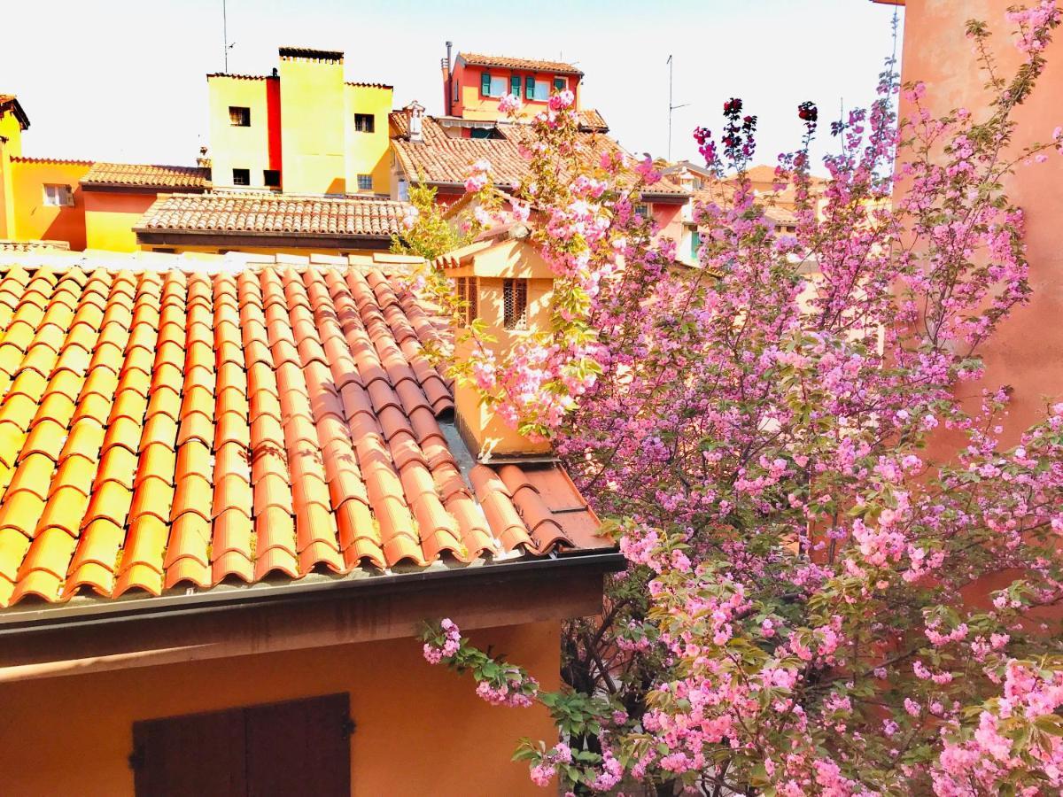 Falcone 22 Boloňa Exteriér fotografie